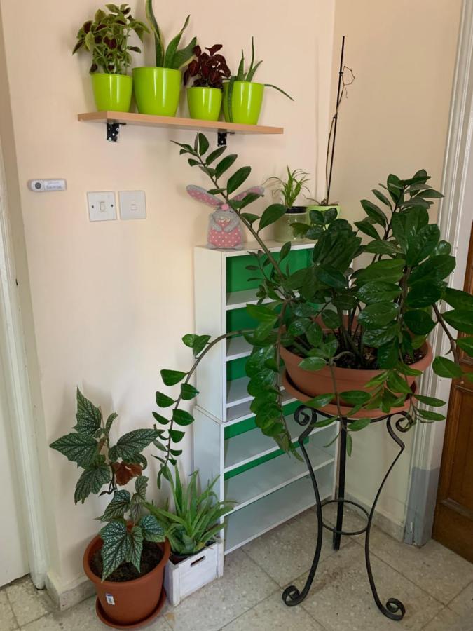Mini Penthouse Ларнака Екстериор снимка